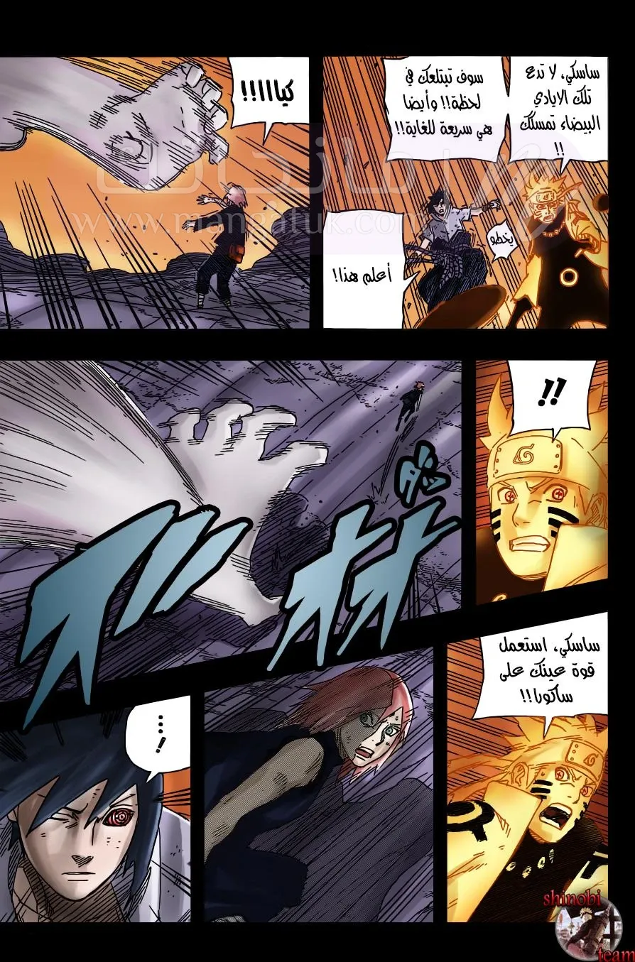 الصفحة 14