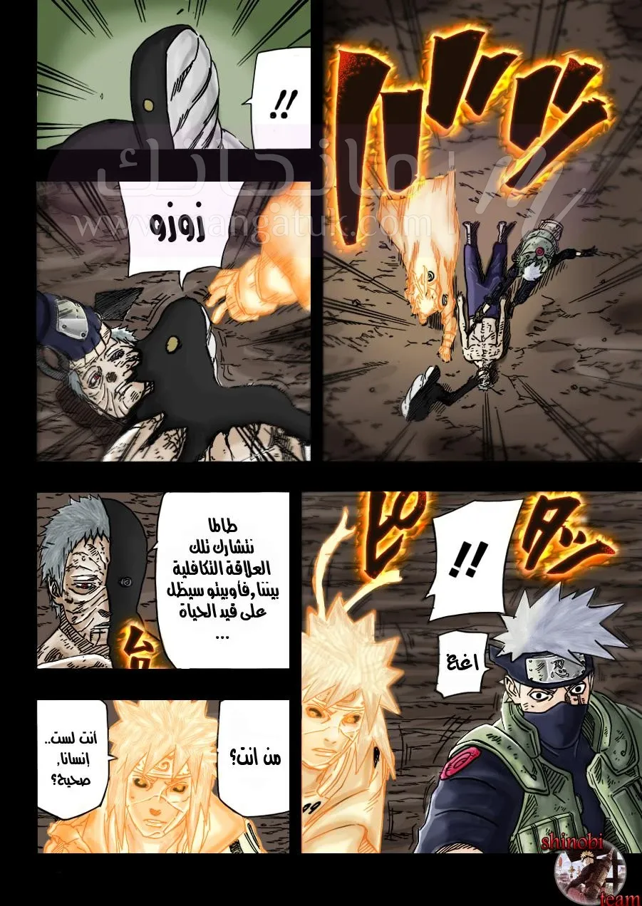 الصفحة 11
