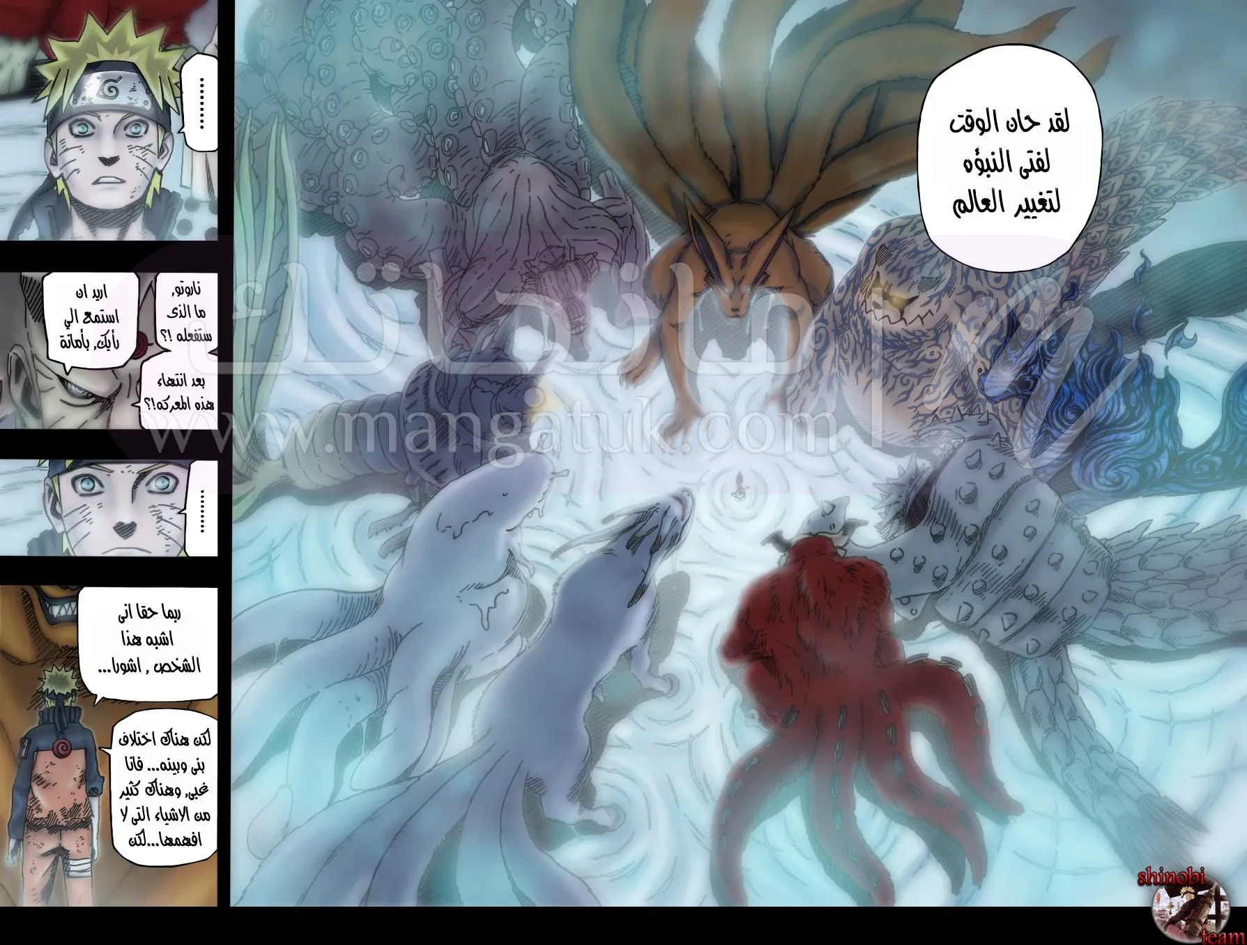 الصفحة 13