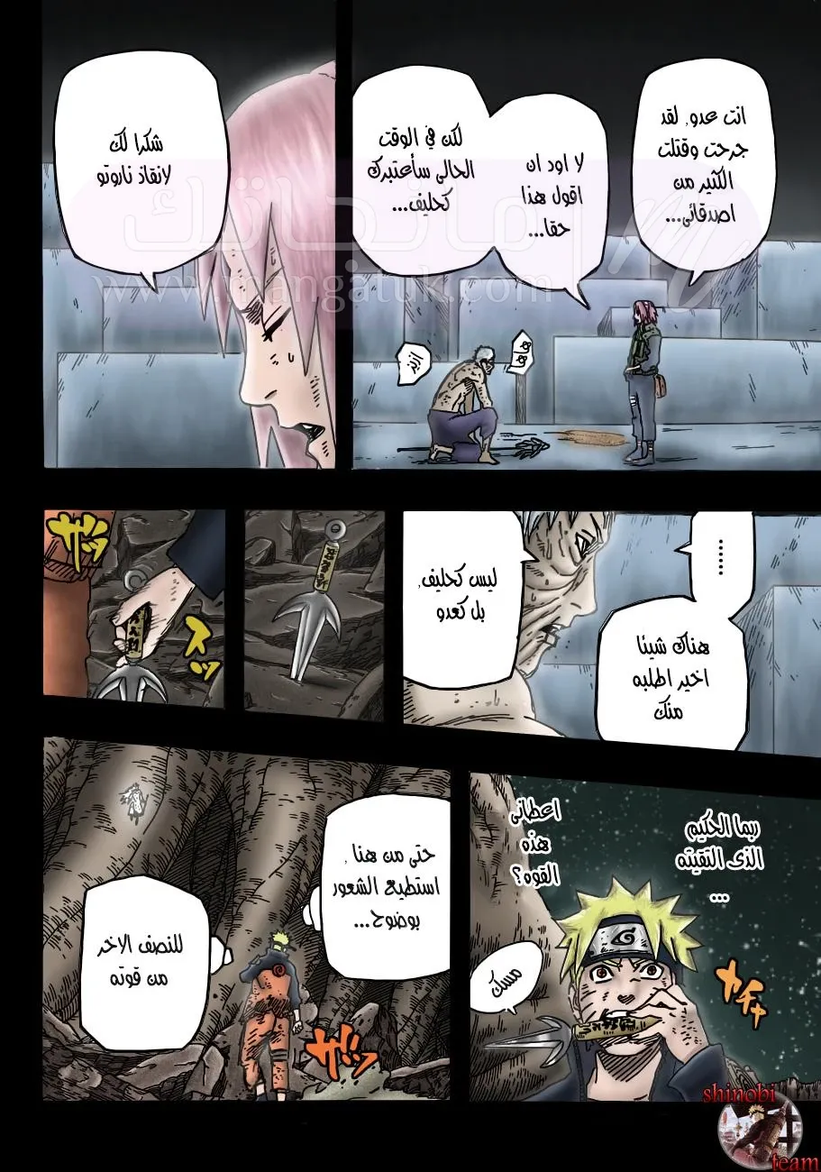 الصفحة 12
