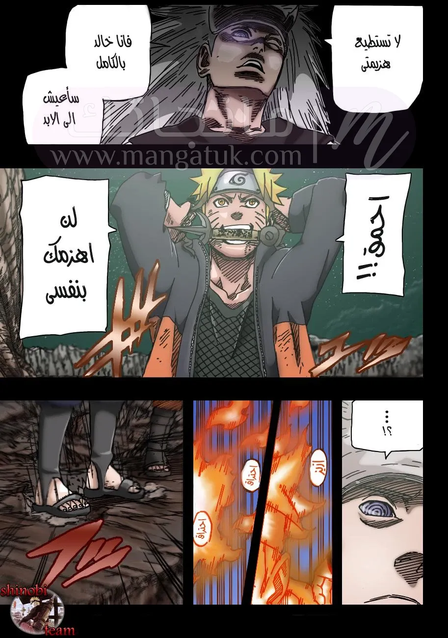 الصفحة 13