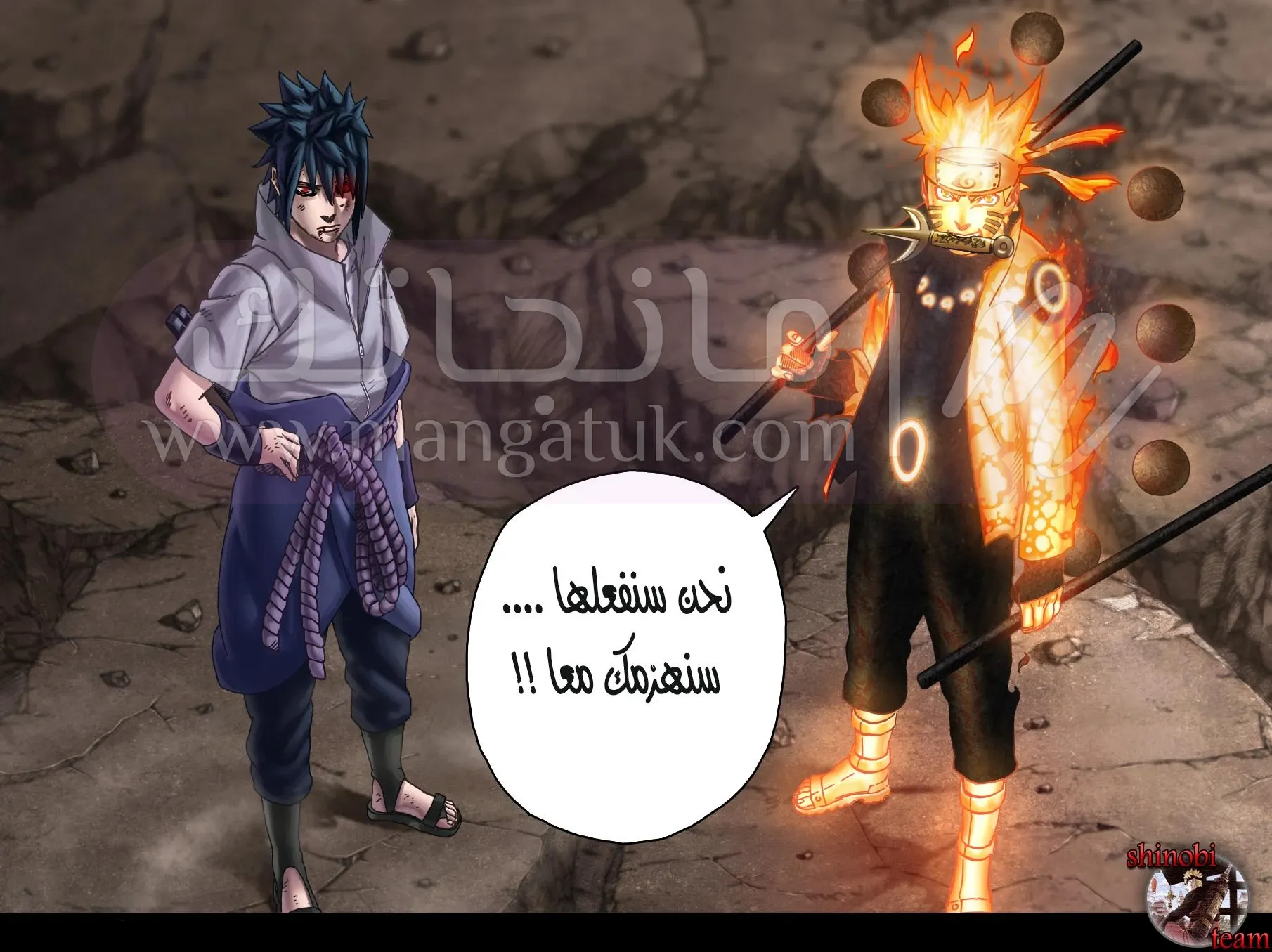 الصفحة 14