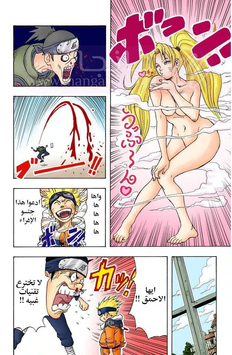 الصفحة 13