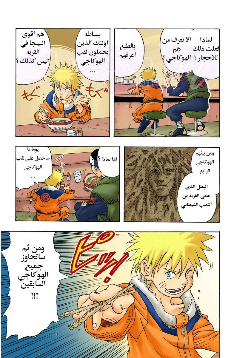 الصفحة 16