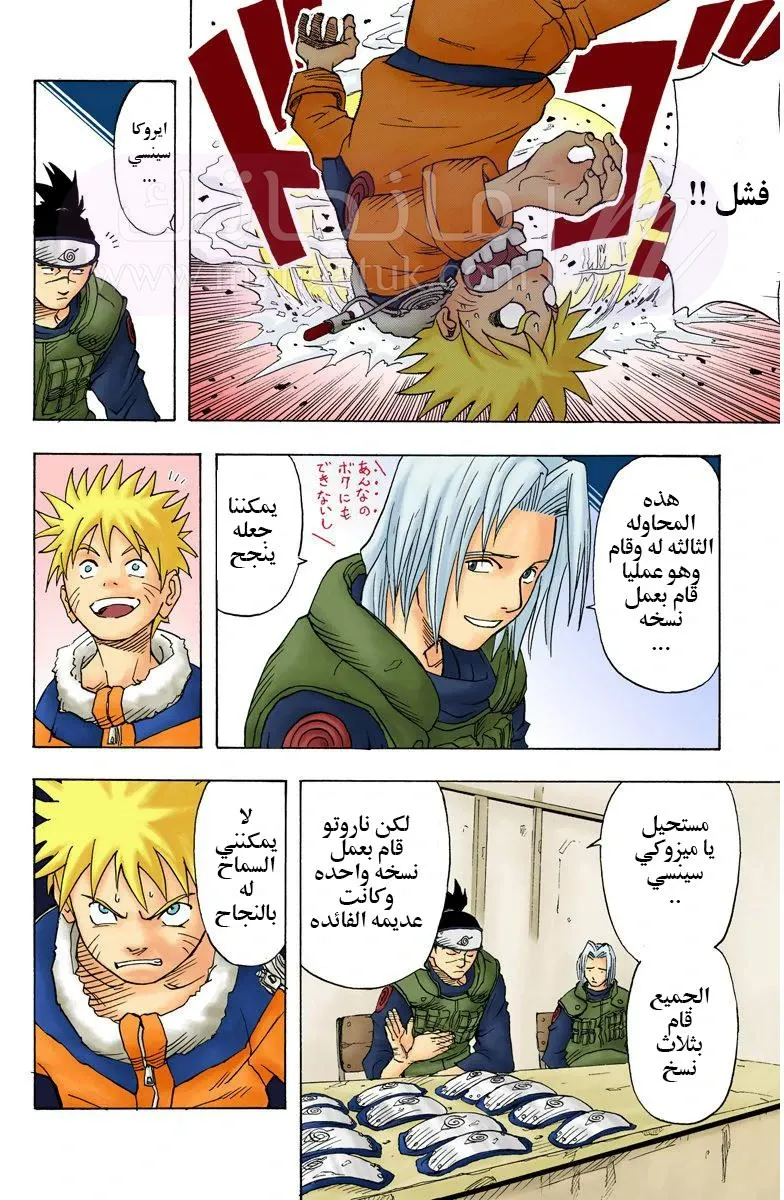 الصفحة 19