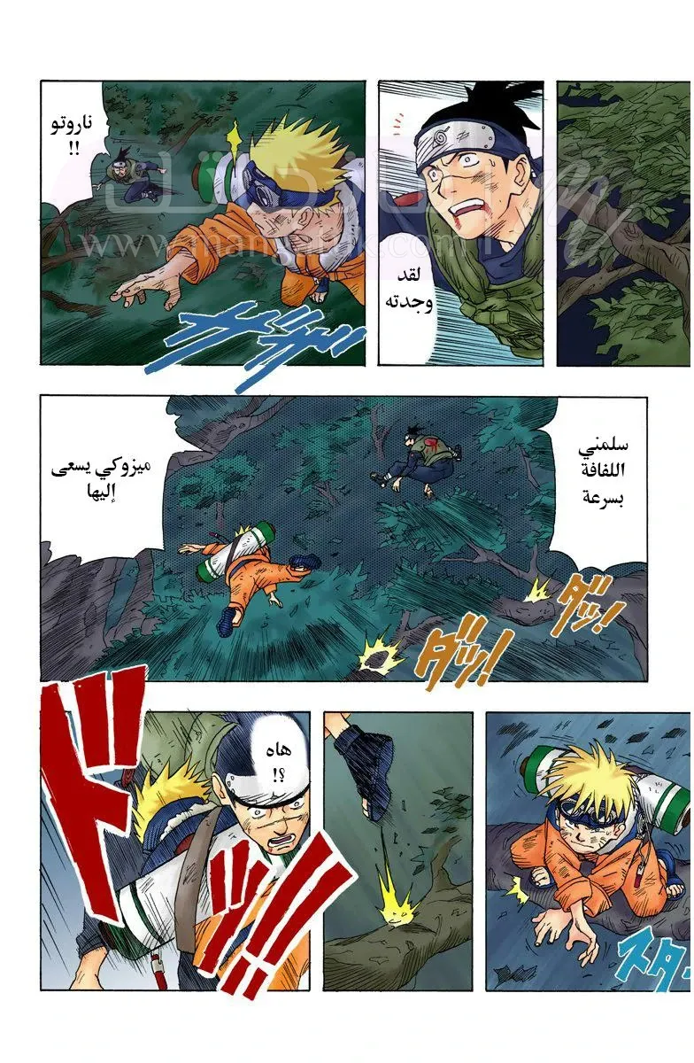 الصفحة 43