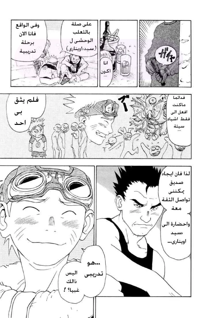 الصفحة 17
