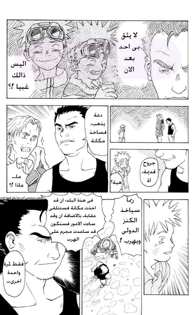 الصفحة 29