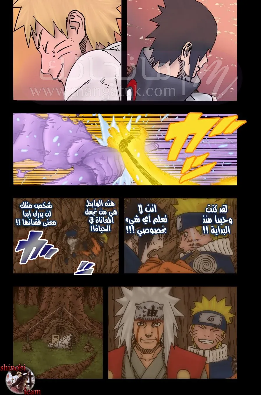 الصفحة 13