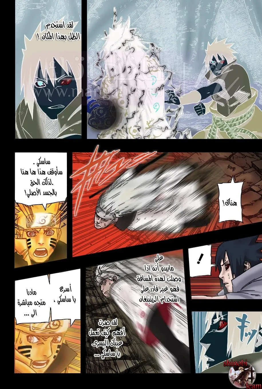 الصفحة 14