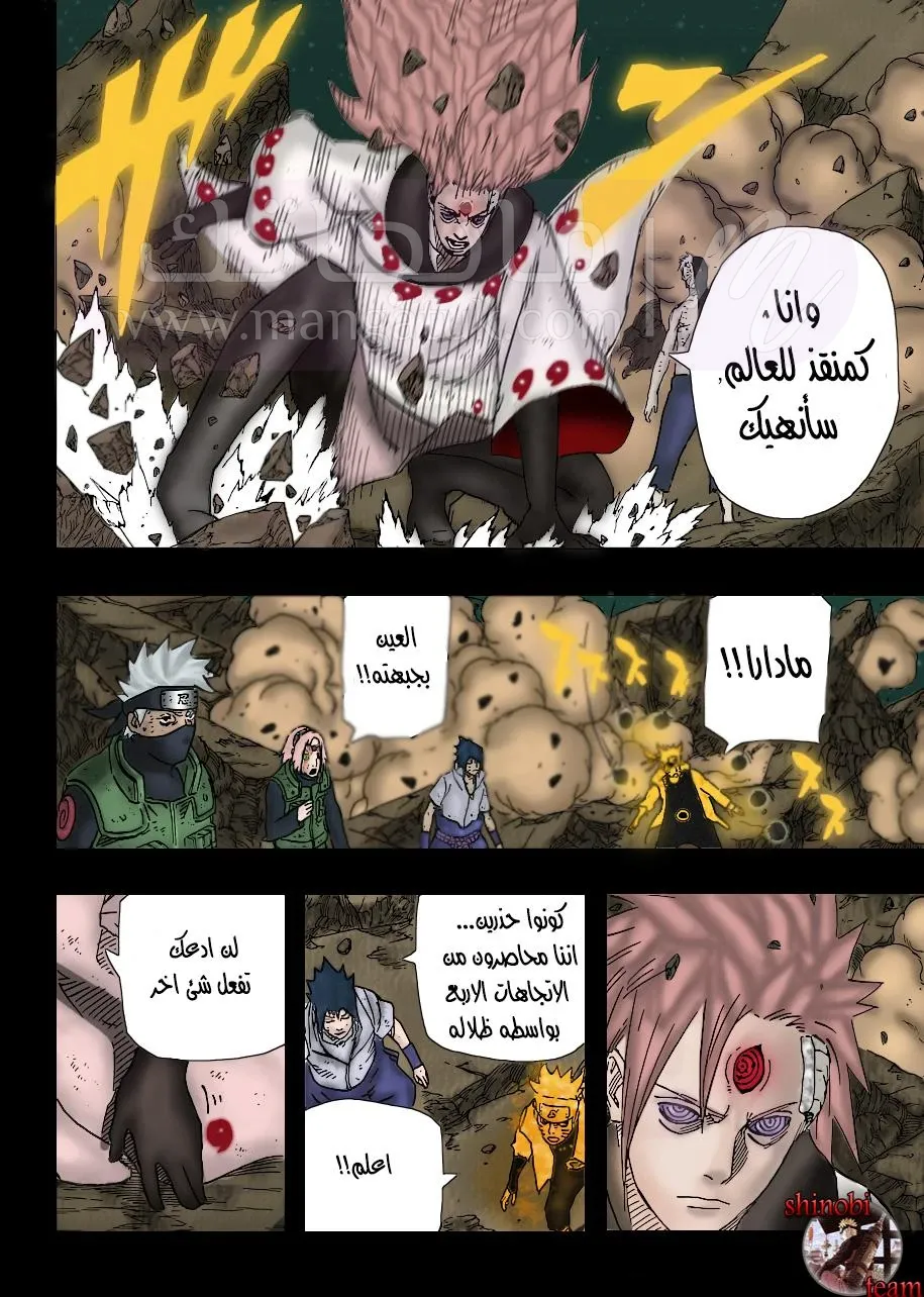 الصفحة 13