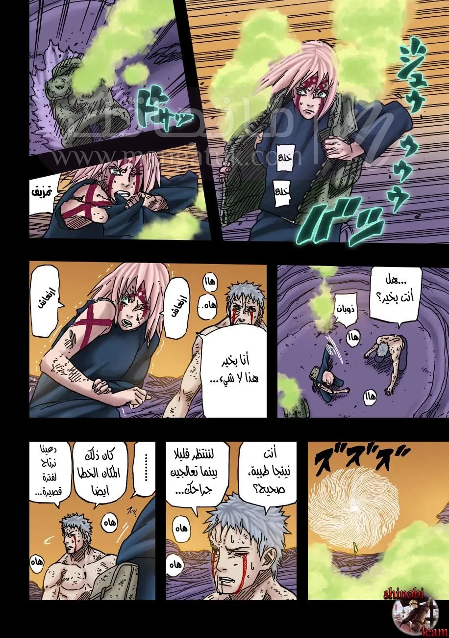 الصفحة 13
