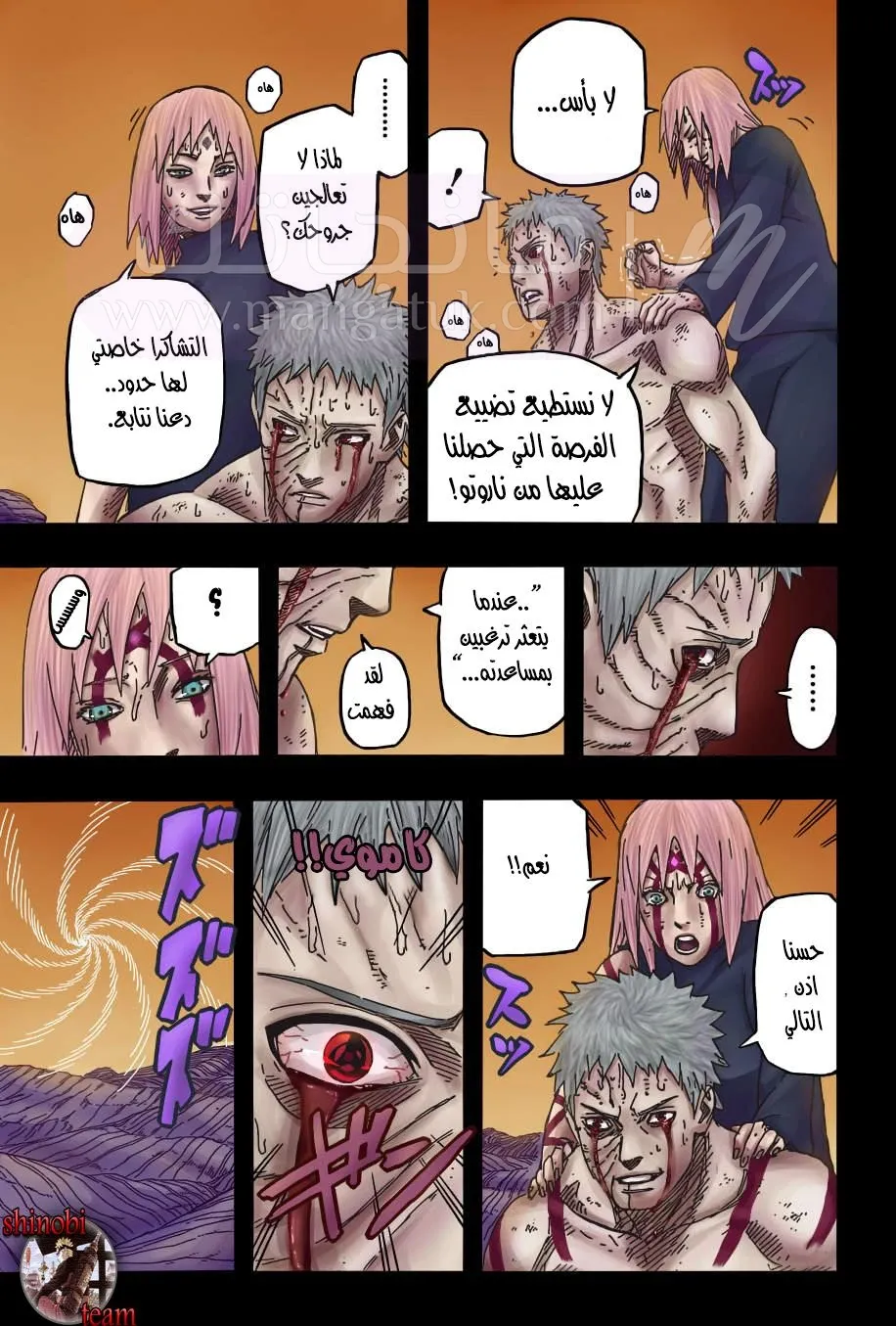الصفحة 14