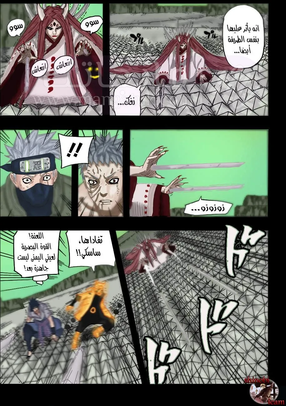 الصفحة 13