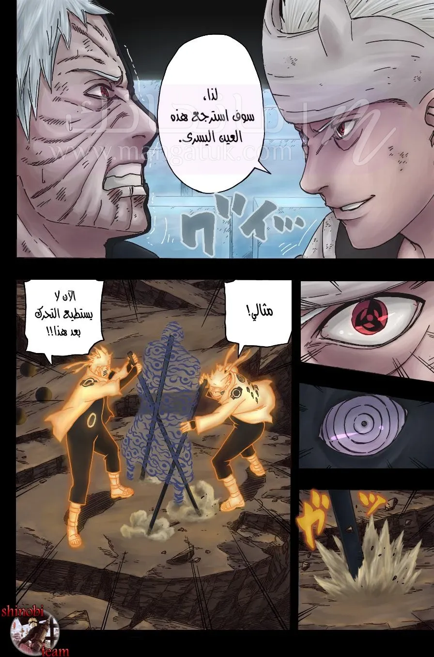 الصفحة 11