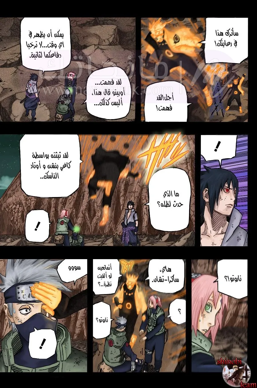 الصفحة 12