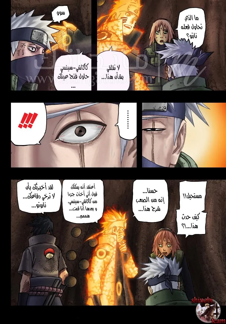 الصفحة 13