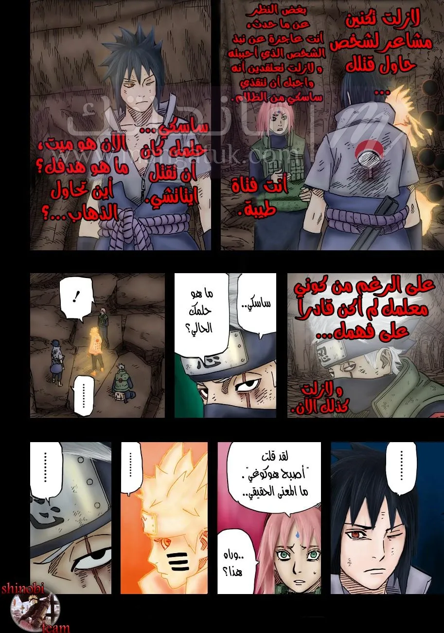 الصفحة 17