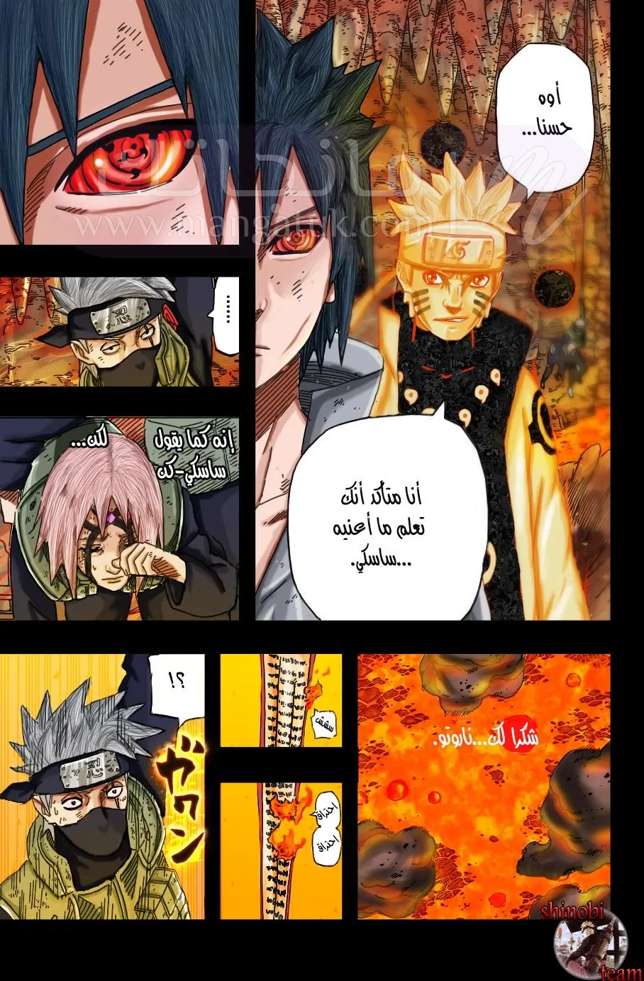 الصفحة 8