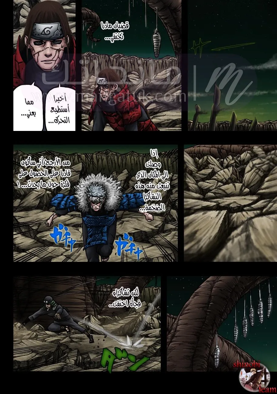 الصفحة 11
