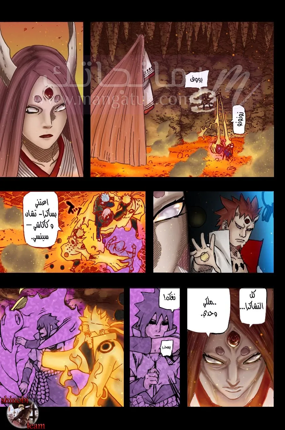 الصفحة 14