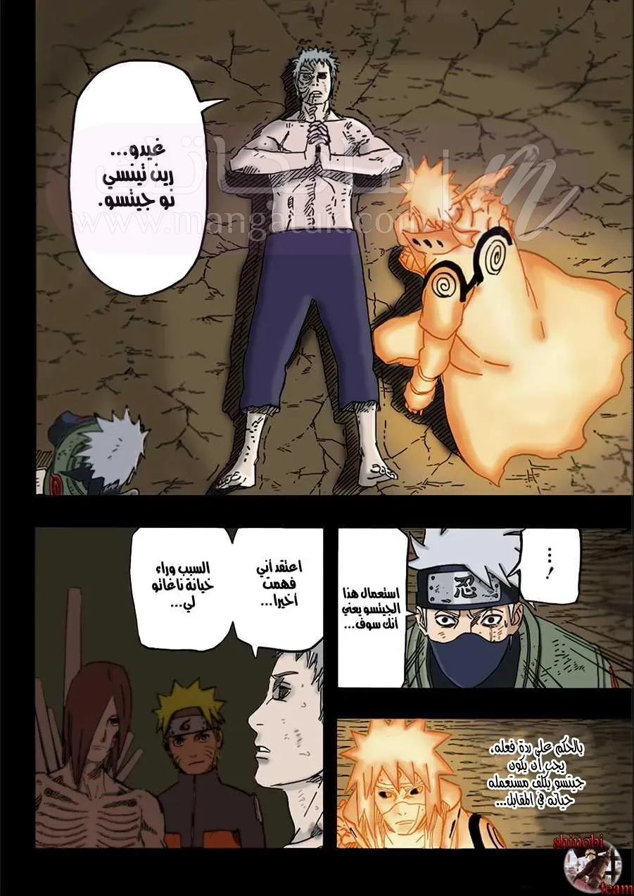 الصفحة 13