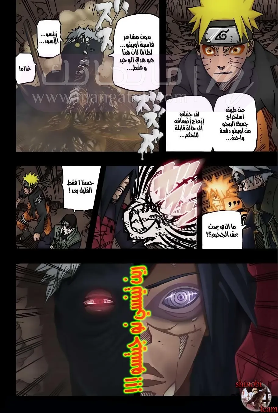 الصفحة 17