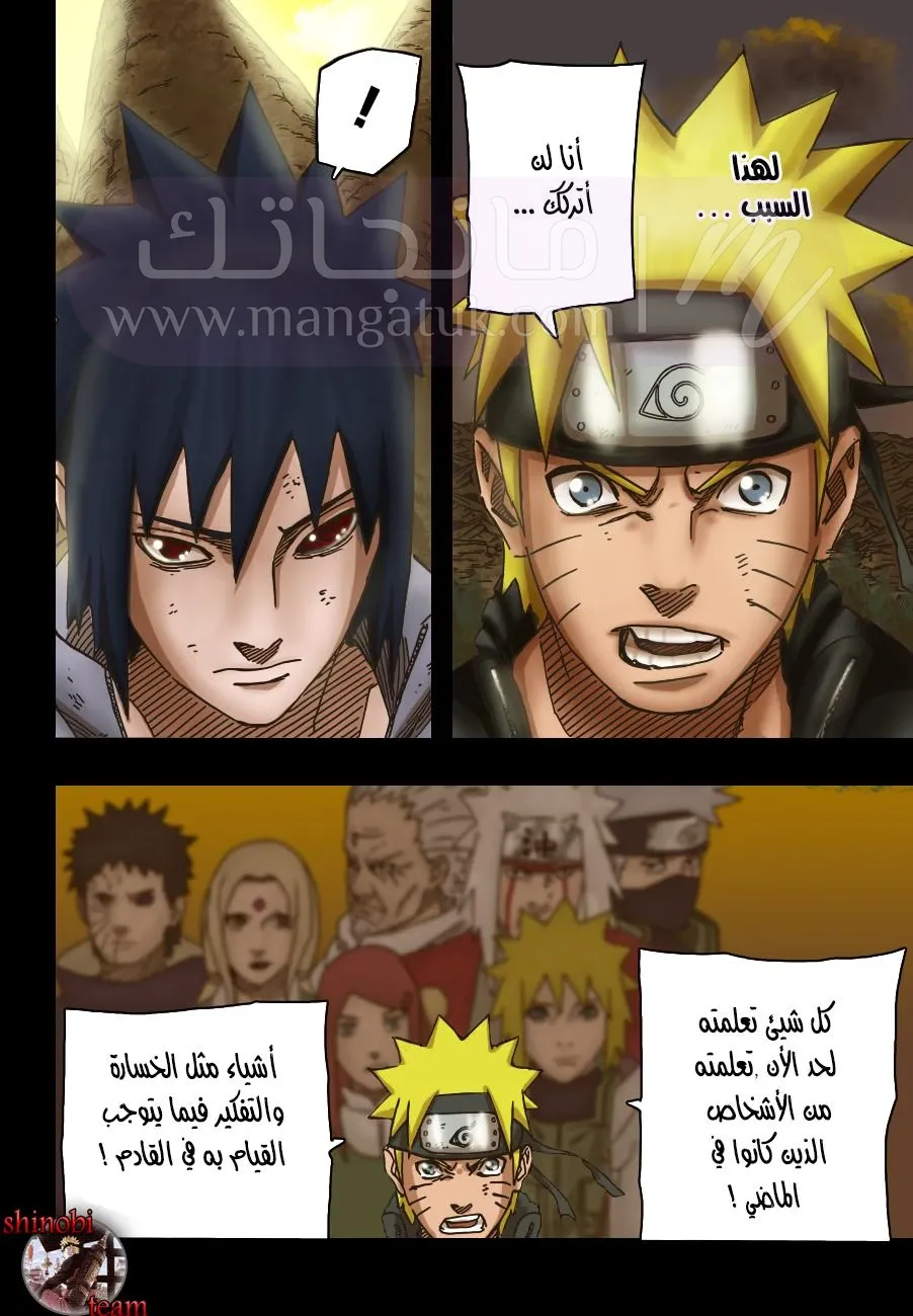 الصفحة 13