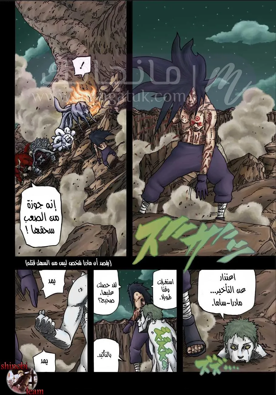 الصفحة 14