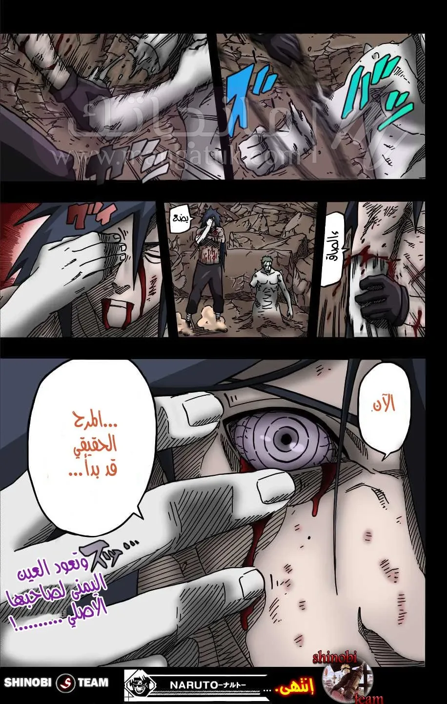 الصفحة 15