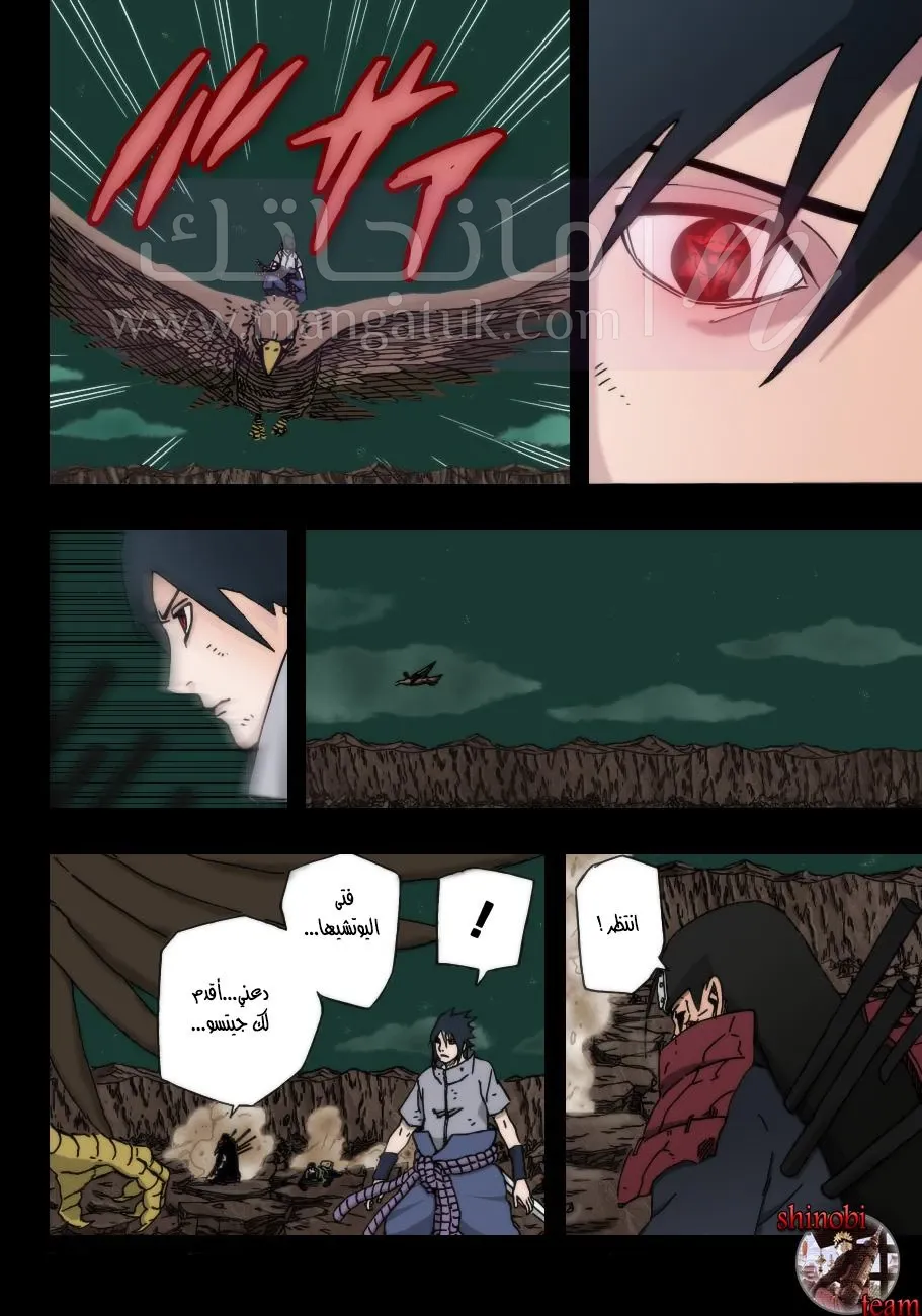 الصفحة 11