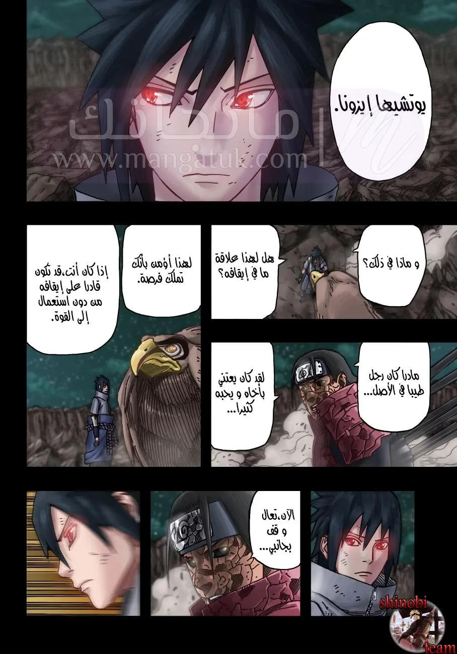 الصفحة 13