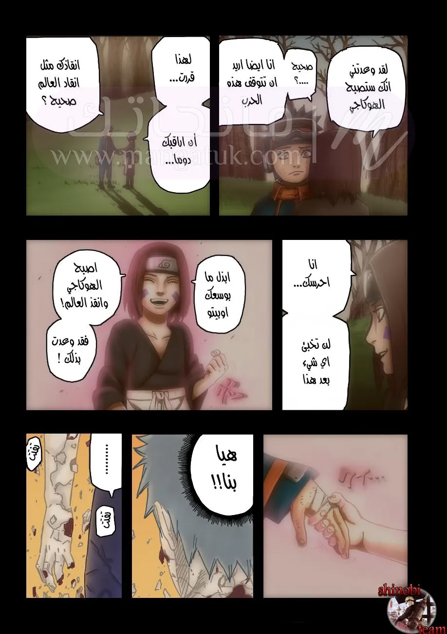 الصفحة 11