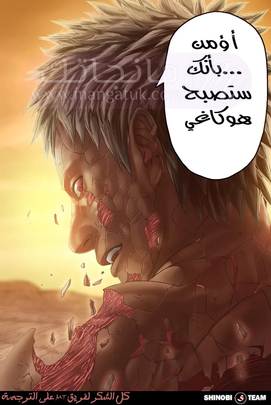 الصفحة 13
