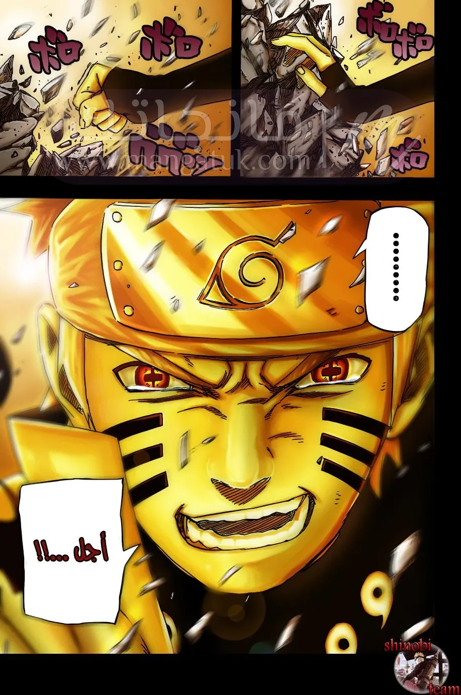 الصفحة 14