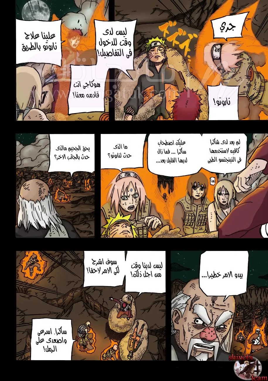 الصفحة 13