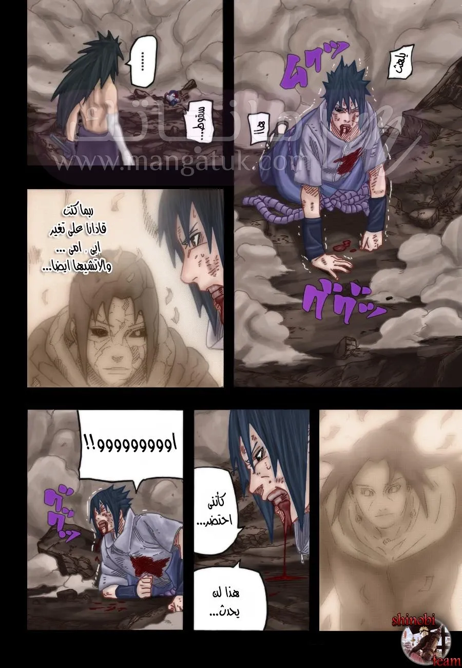 الصفحة 17