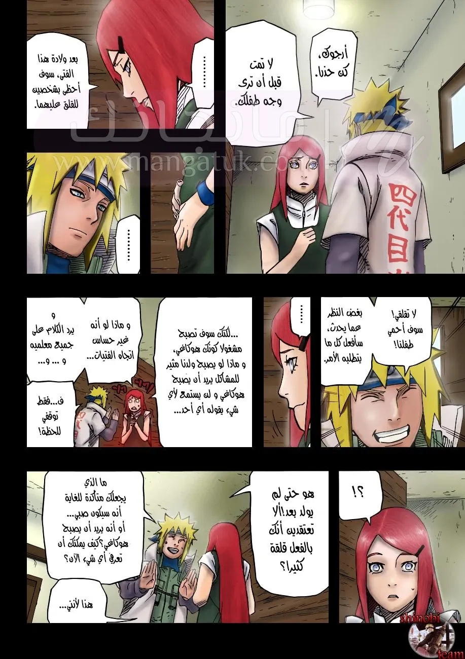الصفحة 13