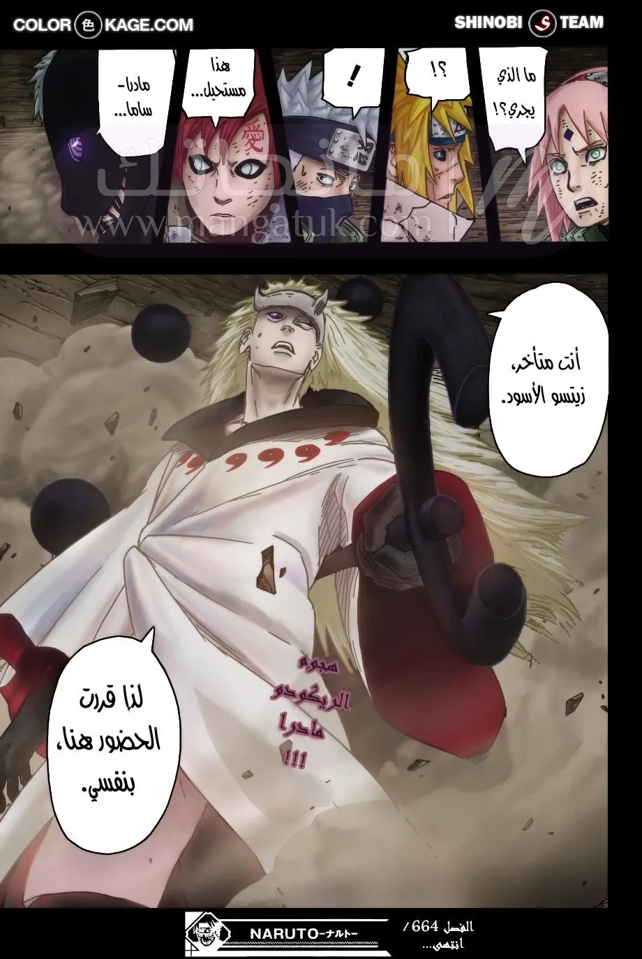 الصفحة 17