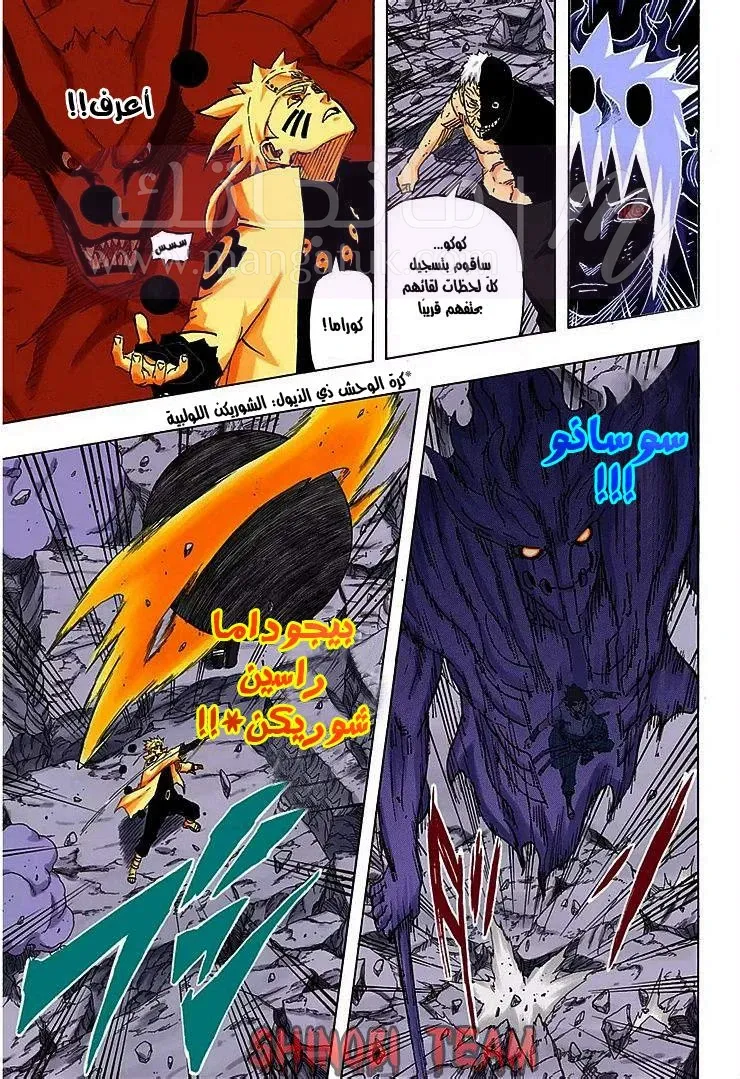 الصفحة 13