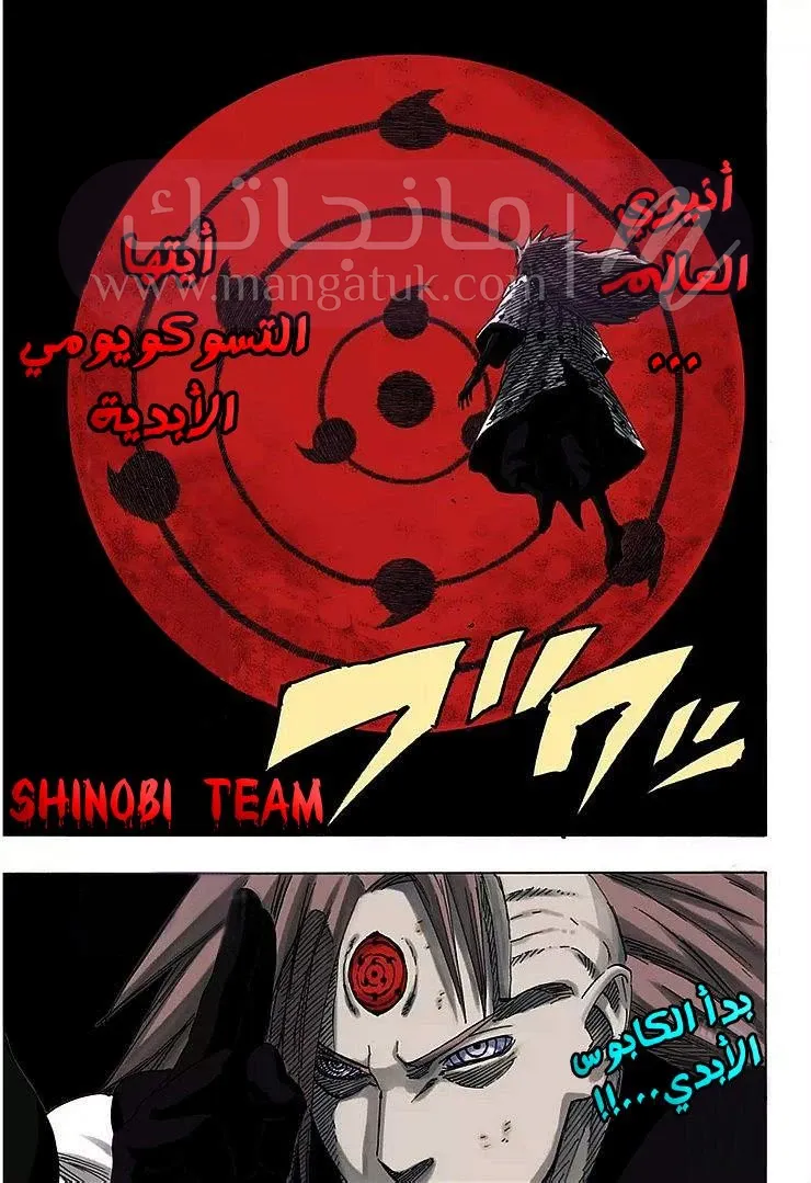 الصفحة 17
