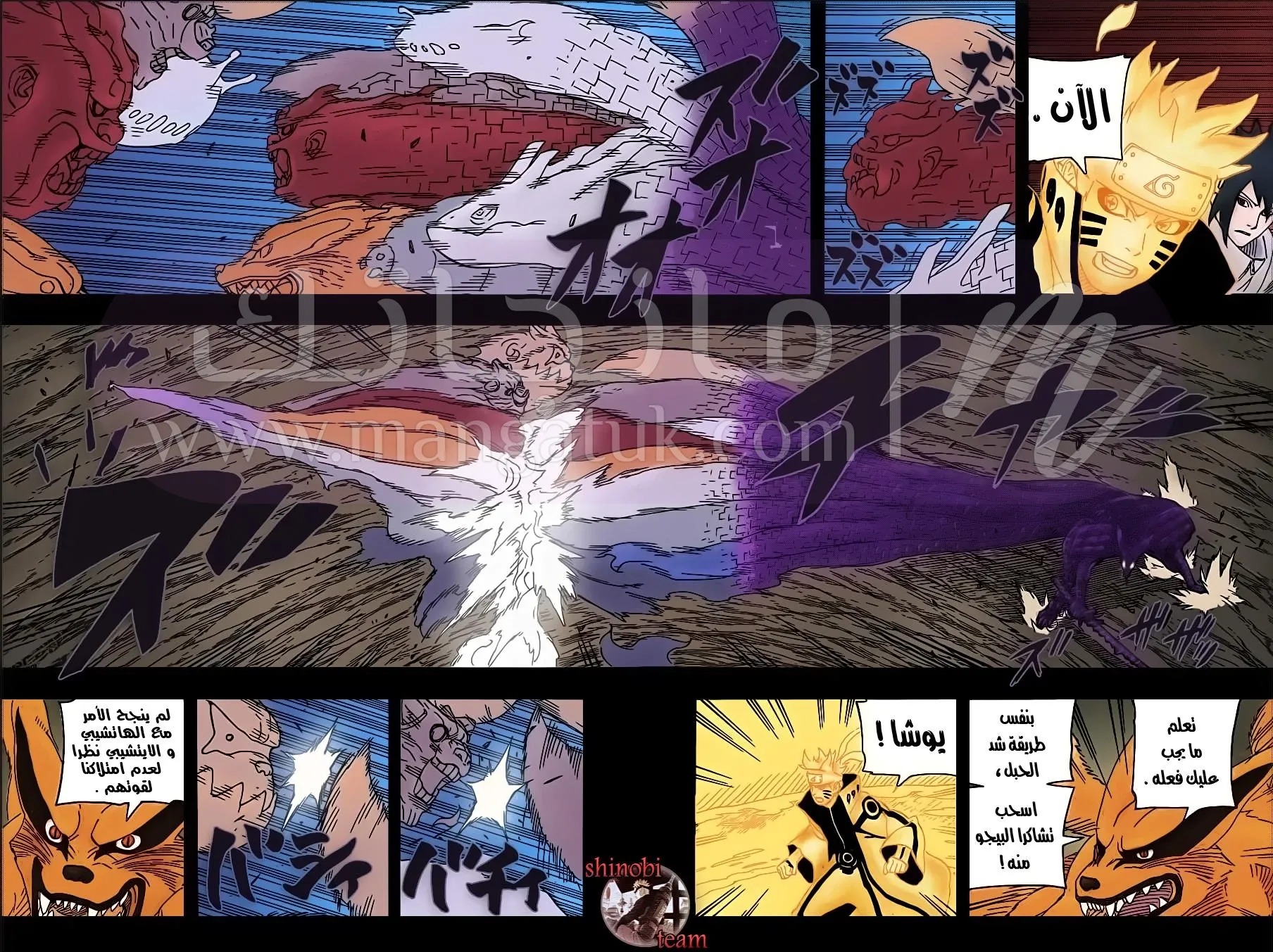 الصفحة 5