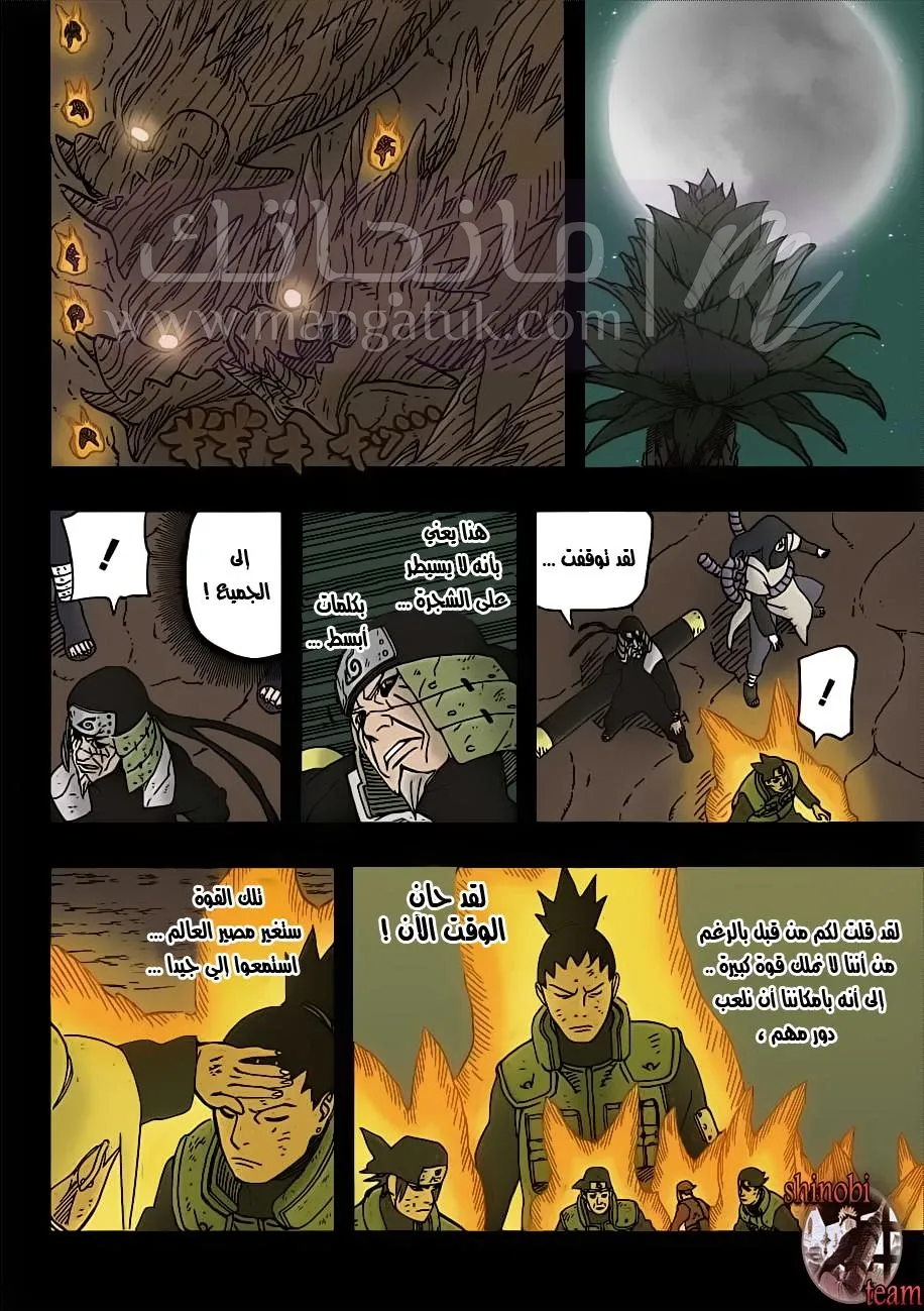 الصفحة 8