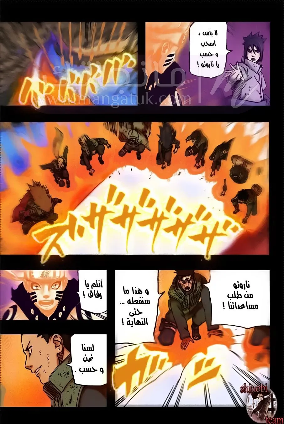 الصفحة 11