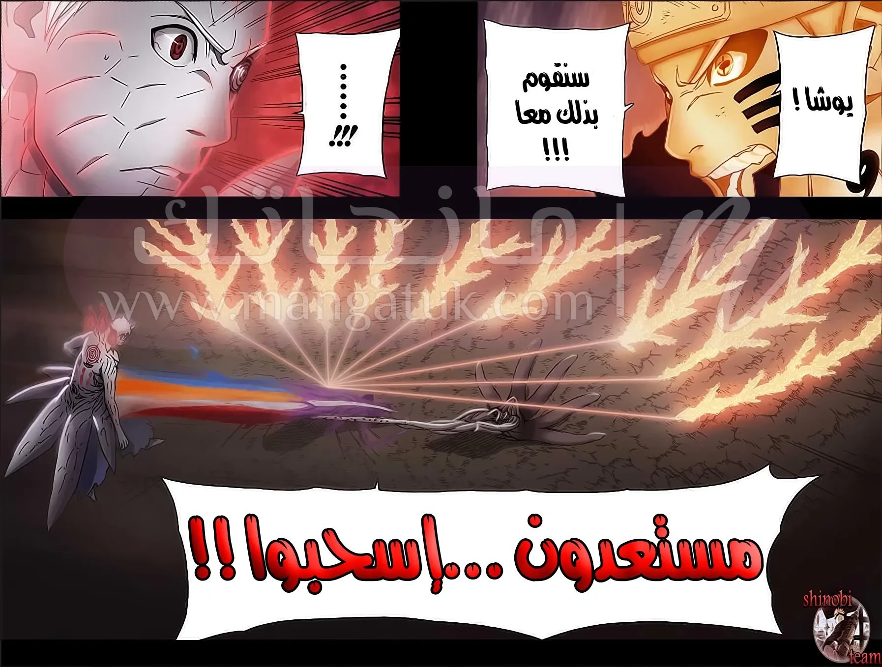 الصفحة 13