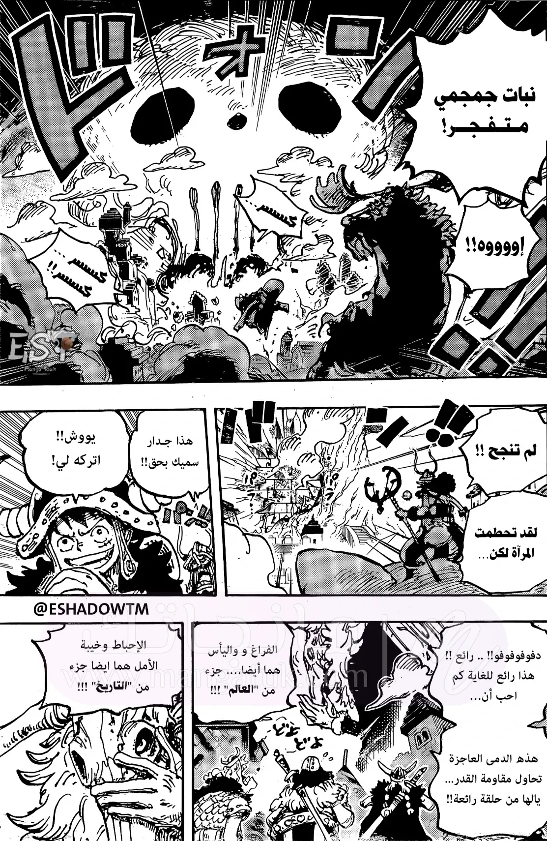 الصفحة 11