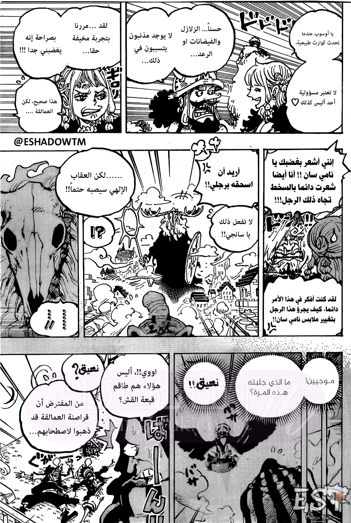 الصفحة 13