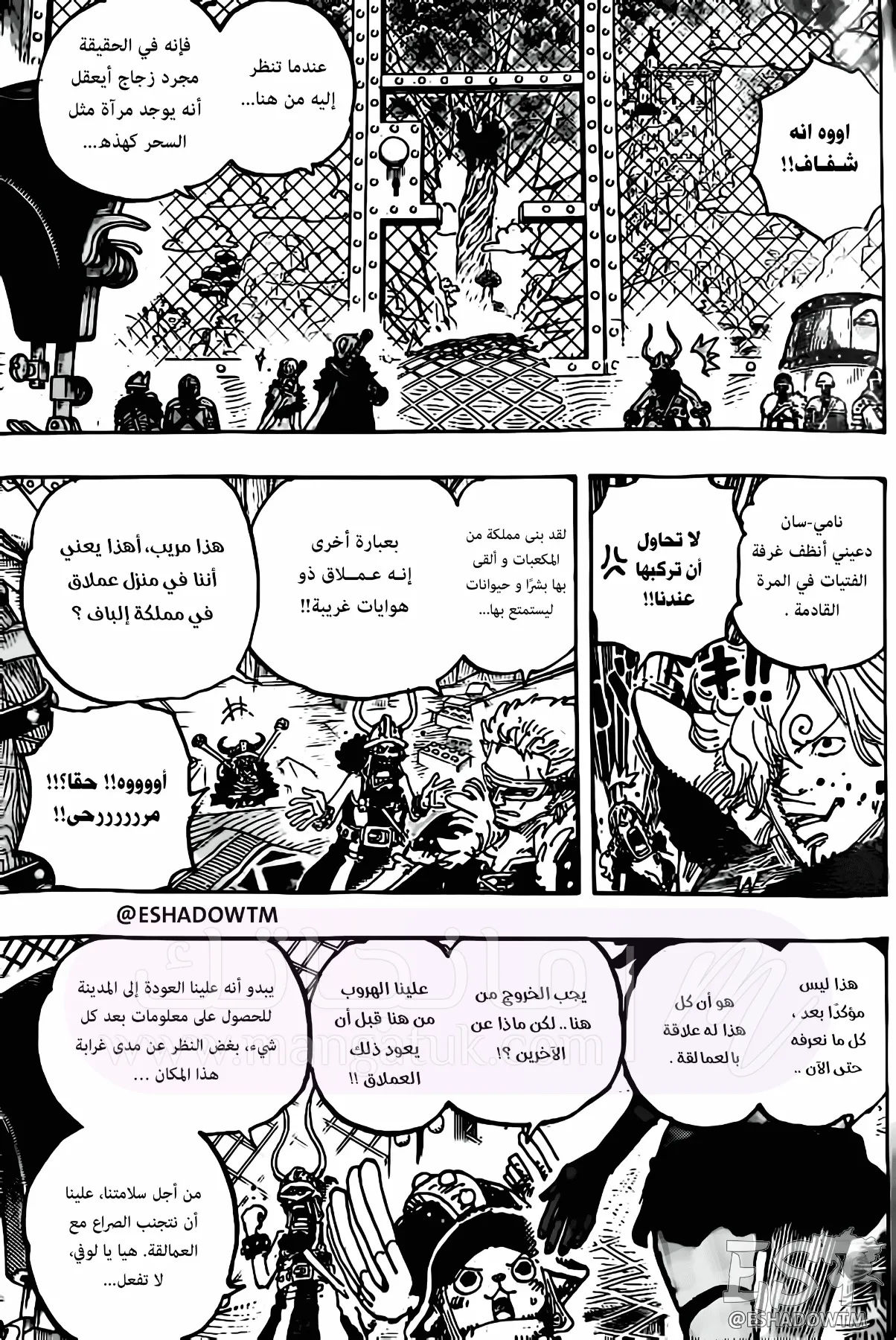 الصفحة 11