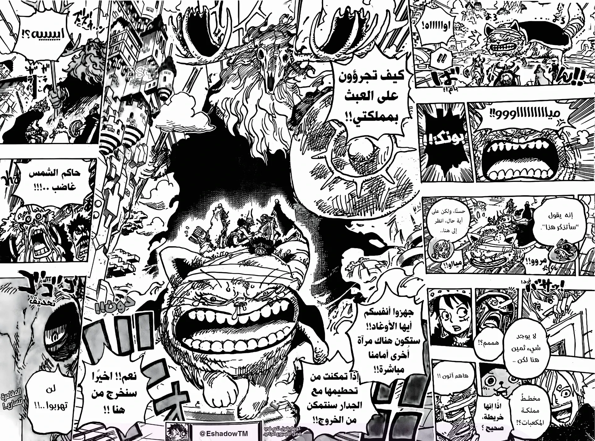 الصفحة 16