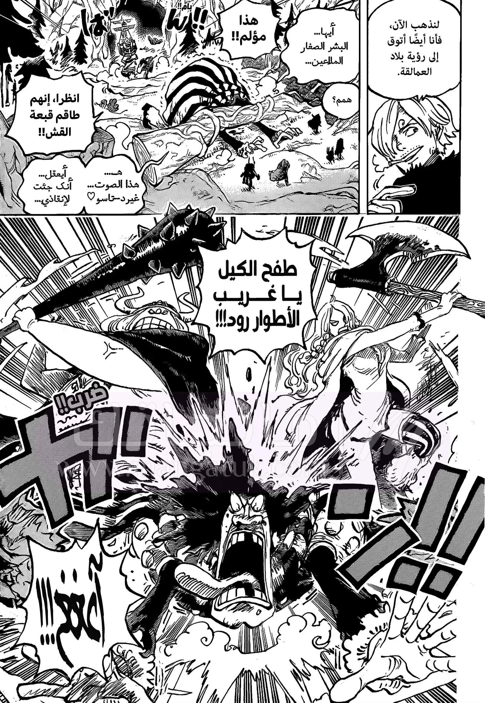 الصفحة 11